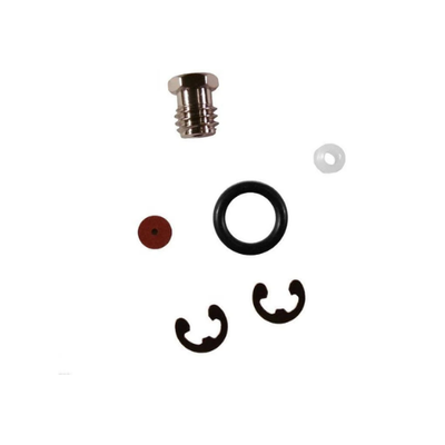 Iwata RG3L & LPH50 Spray Gun Repair Service Kit (2860)