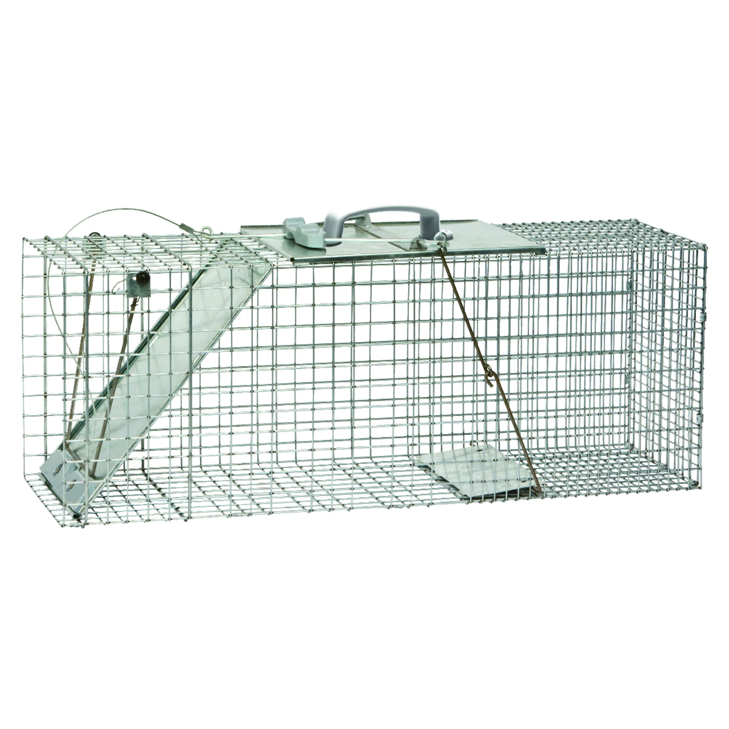 Easy Set Galvanized Steel 32 In. Live Raccoon Trap