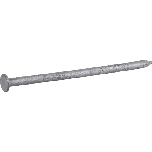 Common Nails, Galvanized, 16d, 3.5-in., 1-lb.